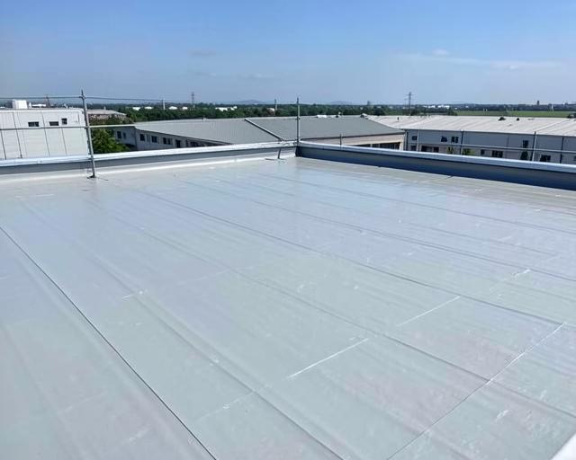Copertura industriale - Azienda alimentare